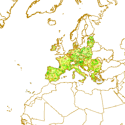 overview