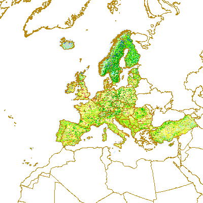 overview