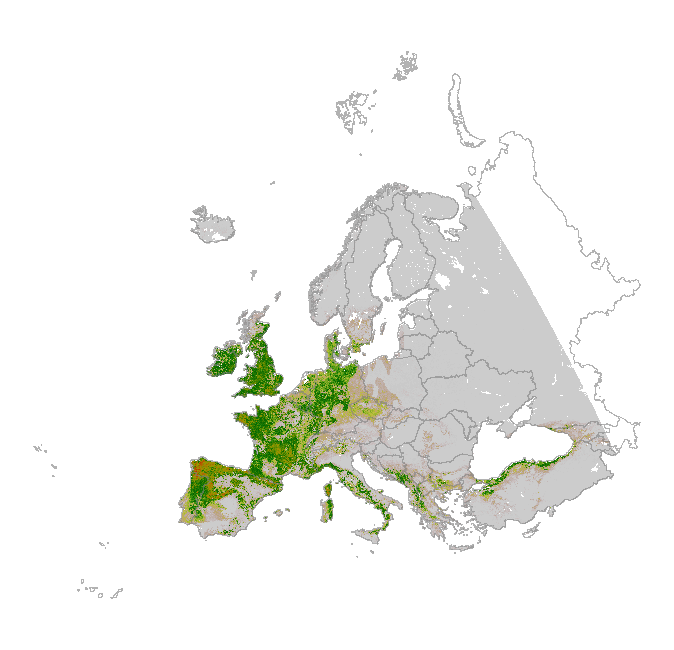 overview