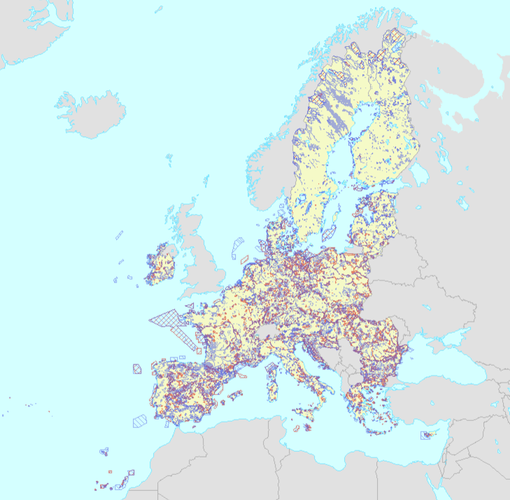 overview